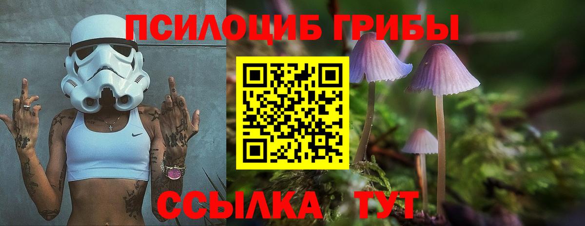 Галлюциногенные грибы GOLDEN TEACHER Домодедово